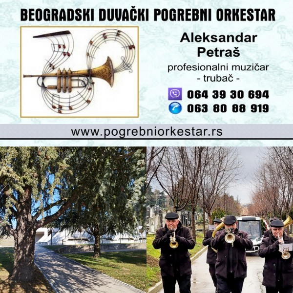 Velika slika