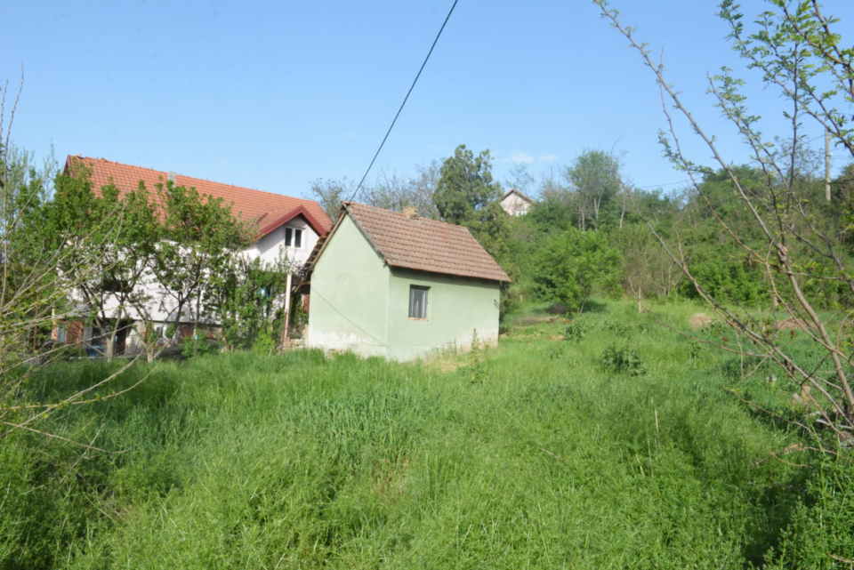 Velika slika
