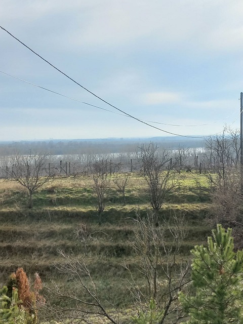 Velika slika