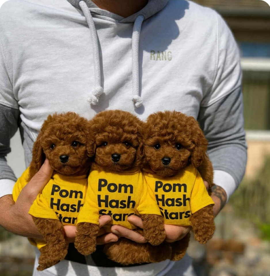 Najmanje pudle, od najlepsih roditelja 