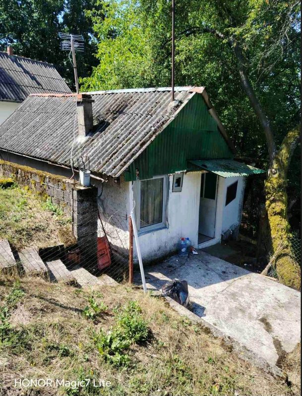 Velika slika