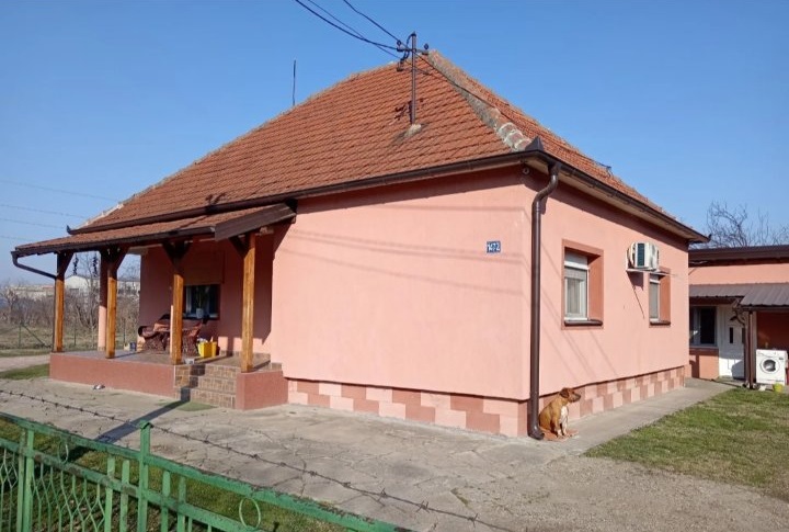 Velika slika