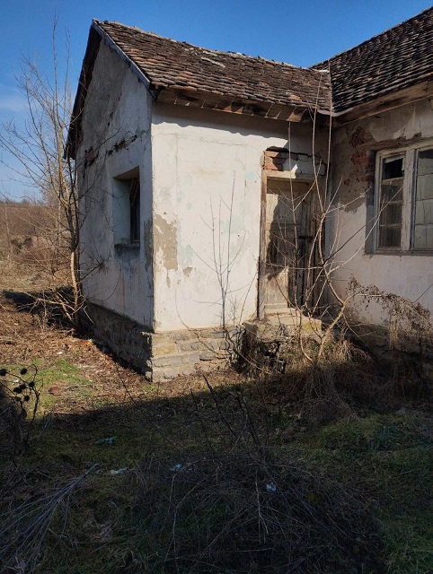 Velika slika