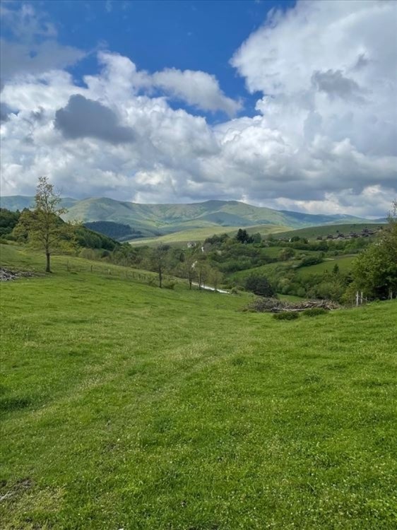 Velika slika