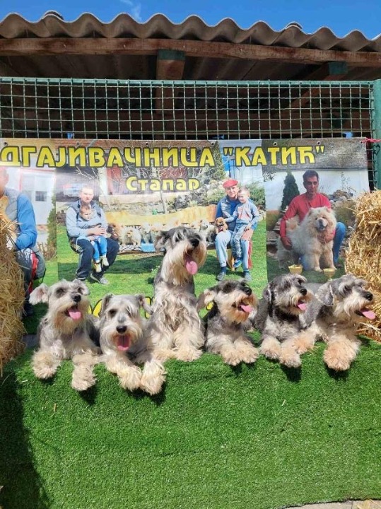 Velika slika