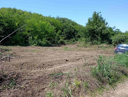 Velika slika