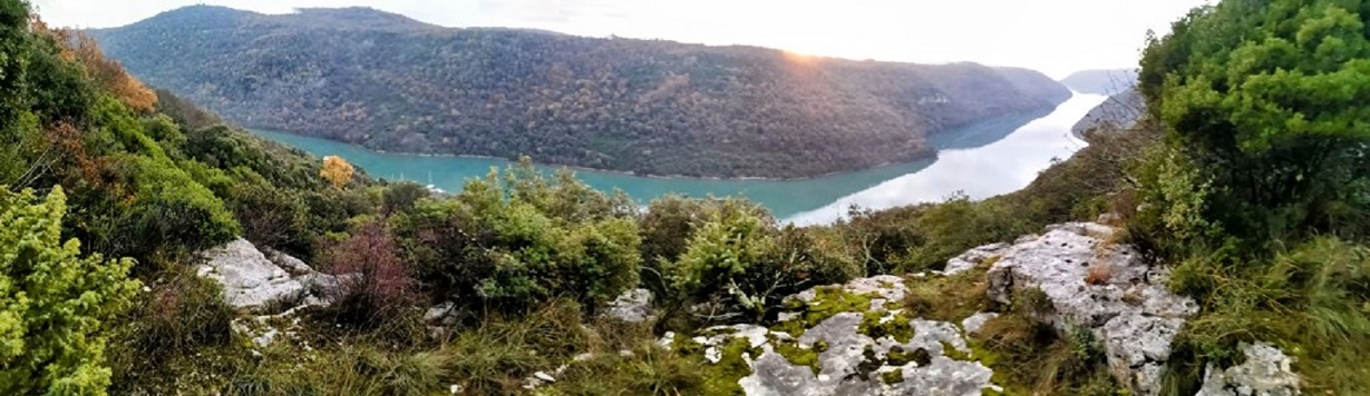 Velika slika