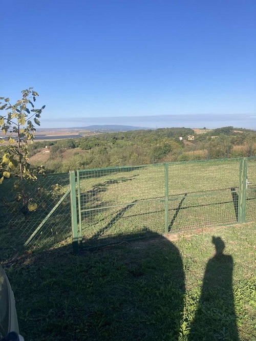 Velika slika