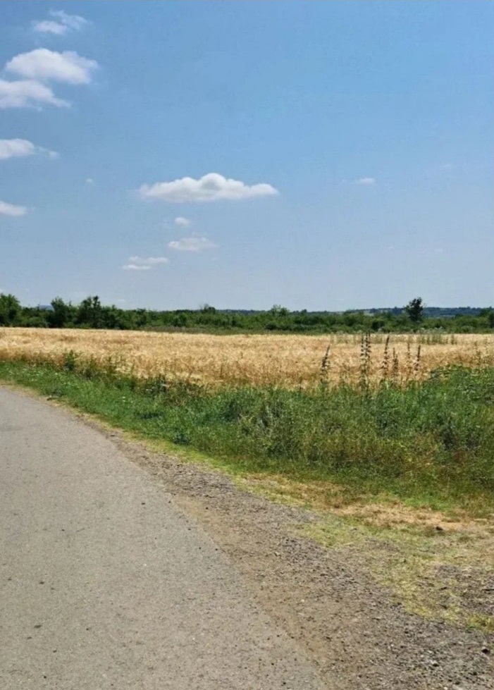 Njiva Barajevo-Veliki Borak