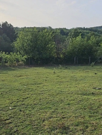 Velika slika