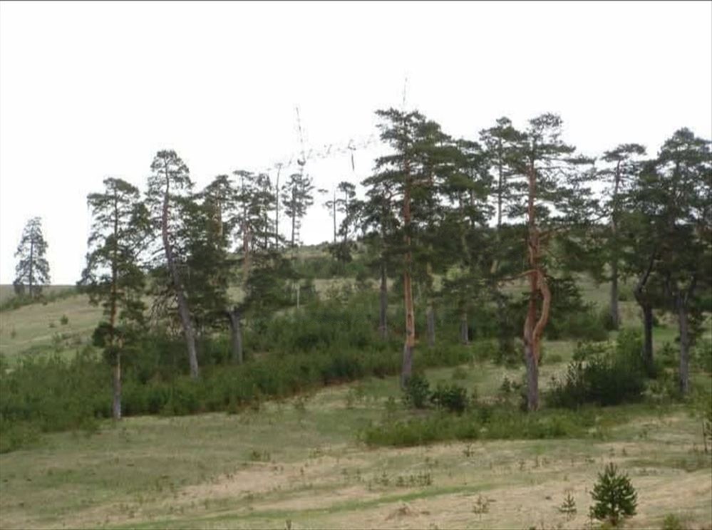 Velika slika