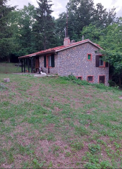 Velika slika