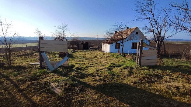Velika slika