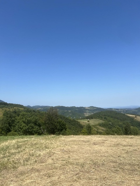 Velika slika