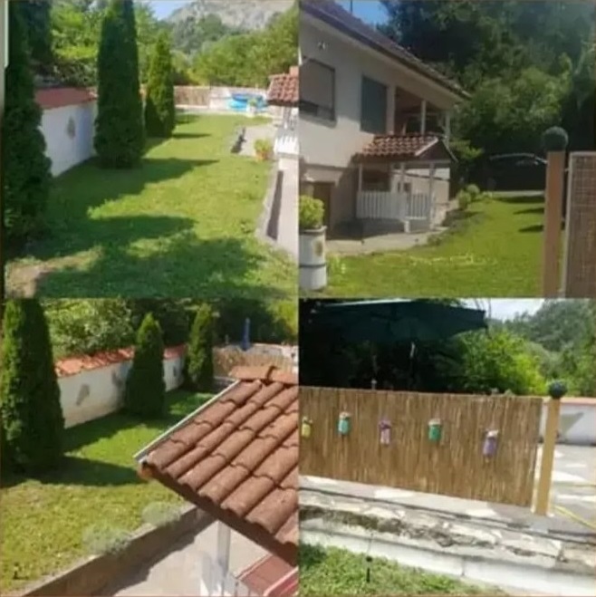 Velika slika