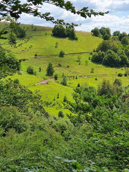 Velika slika