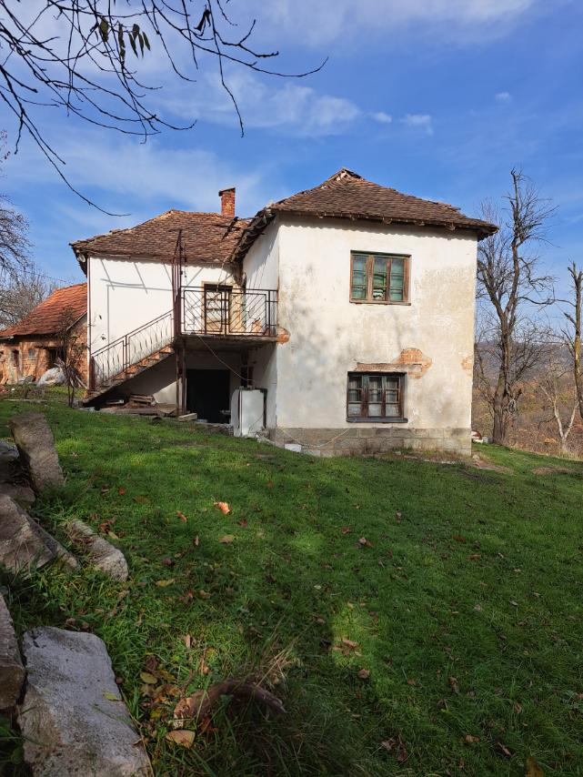 Velika slika
