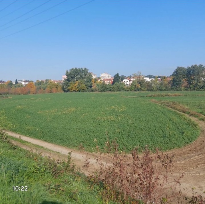 Plac od 46 ari u Kraljevu, KO RIbnica k. p 58/1